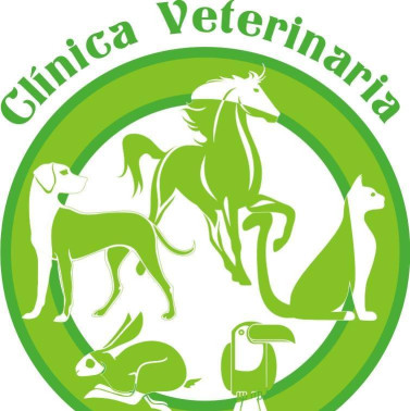 Image of Clínica Veterinaria Triunfo Jardín service in Granada, Granada, Spain