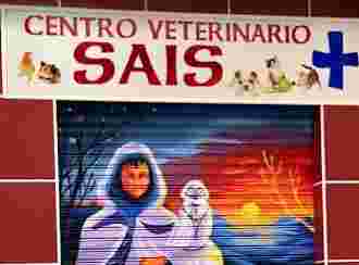Image of Mi Maskota - Clínica Veterinaria service in Murcia, Murcia, Spain
