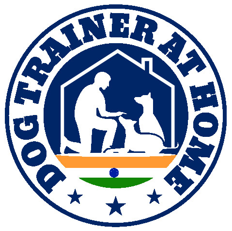 Image of Dog Trainer At Home - Palam, New Delhi service in New Delhi, Delhi, India