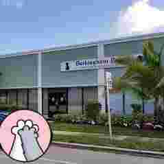 Image of Barkingham Palace - Delray Beach service in Delray Beach, Florida, United States