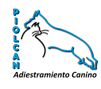 Image of Piolcan Canine Training and training center service in Cartagena, Murcia, Spain
