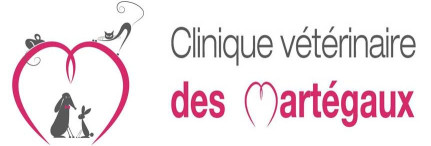 Image of Veterinary Clinic of martégale service in Marseille, Bouches-du-Rhone, France