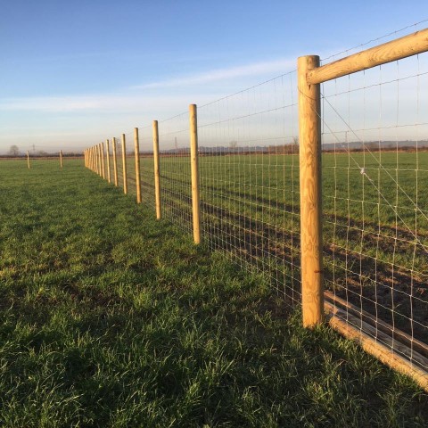 Image of Long Clawson Dog Walking Field service in Long Clawson, England, United Kingdom