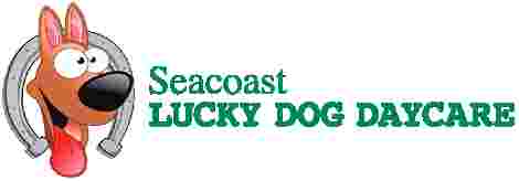 Image of Seacoast Lucky Dog Daycare service in Hampton Falls, New Hampshire, United States Image of Seacoast Lucky Dog Daycare service in Hampton Falls, New Hampshire, United States