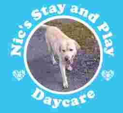 Image of Nic's stay and play doggy day care service in Newcastle upon Tyne, England, United Kingdom Image of Nic's stay and play doggy day care service in Newcastle upon Tyne, England, United Kingdom