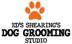 Image of Ed's Shearing's Dog Grooming Studio low fell service in Gateshead, England, United Kingdom Image of Ed's Shearing's Dog Grooming Studio low fell service in Gateshead, England, United Kingdom