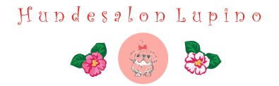 Image of Hundesalon Lupino service in Zurich, Zurich, Switzerland