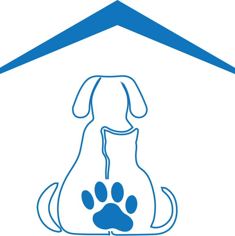 Image of Pet Street Veterinary Care Center service in Ormond Beach, Florida, United States Image of Pet Street Veterinary Care Center service in Ormond Beach, Florida, United States