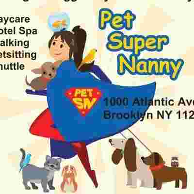 Image of Pet Super Nanny service in New York, New York, United States Image of Pet Super Nanny service in New York, New York, United States