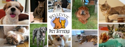 Image of Bellevue Pet Sitters service in Bellevue, Nebraska, United States Image of Bellevue Pet Sitters service in Bellevue, Nebraska, United States