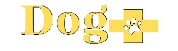 Image of Dog plus - Richmond Hill service in York, Ontario, Canada