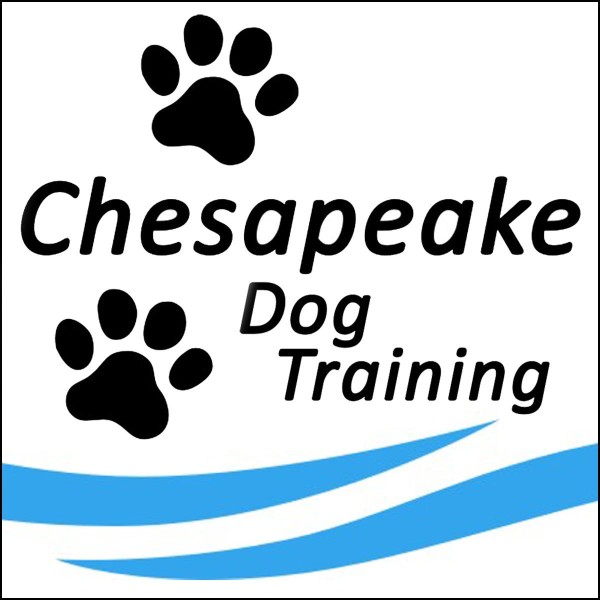 Image of Chesapeake Dog Training, LLC service in Annapolis, Maryland, United States Image of Chesapeake Dog Training, LLC service in Annapolis, Maryland, United States