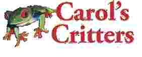 Image of Carol's Critters service in Tallahassee, Florida, United States Image of Carol's Critters service in Tallahassee, Florida, United States