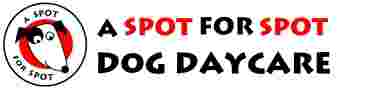 Image of A Spot For Spot Dog Grooming and Daycare service in North Vancouver, British Columbia, Canada