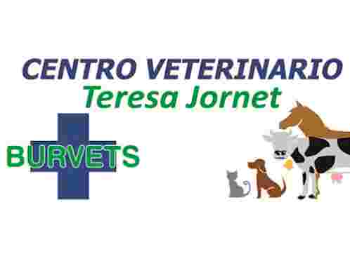 Image of Centro Veterinario Teresa Jornet - Veterinarios de Urgencias Burgos service in Burgos, Burgos, Spain