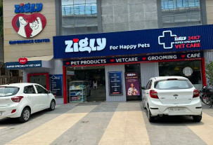 Image of Deep pet care - Anand Vihar service in Delhi, Delhi, India