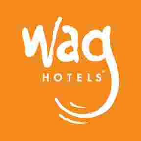 Image of Wag Hotels - Santa Clara service in Santa Clara, California, United States Image of Wag Hotels - Santa Clara service in Santa Clara, California, United States