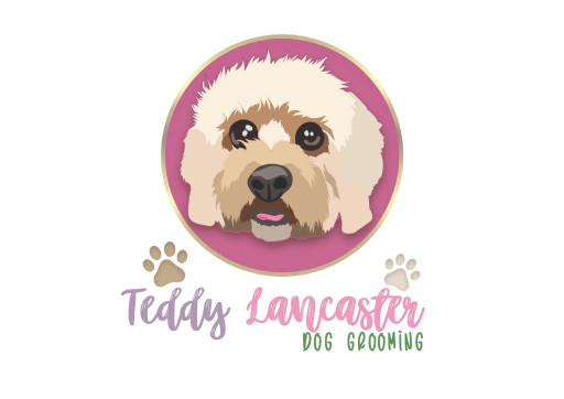Image of Teddy Lancaster Dog Grooming service in Leeds, England, United Kingdom