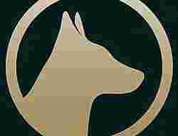 Image of Casper Dog Training service in Roseland, California, United States Image of Casper Dog Training service in Roseland, California, United States