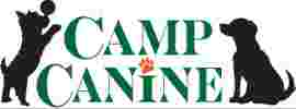 Image of Camp Canine Doggy Day Care - Mukilteo service in Mukilteo, Washington, United States Image of Camp Canine Doggy Day Care - Mukilteo service in Mukilteo, Washington, United States