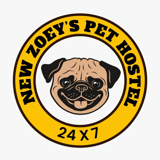 Image of New Zoey's Pet Hostel 24×7 service in New Delhi, Delhi, India