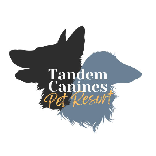 Image of Tandem Canines Pet Resort service in San Antonio, Texas, United States