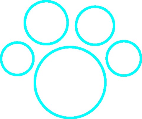 Image of Spaw N Paw Professional Grooming service in Spicewood, Texas, United States