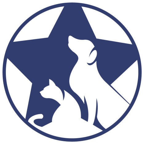 Image of Hollywoof Pet Resort service in Lakeland, Florida, United States
