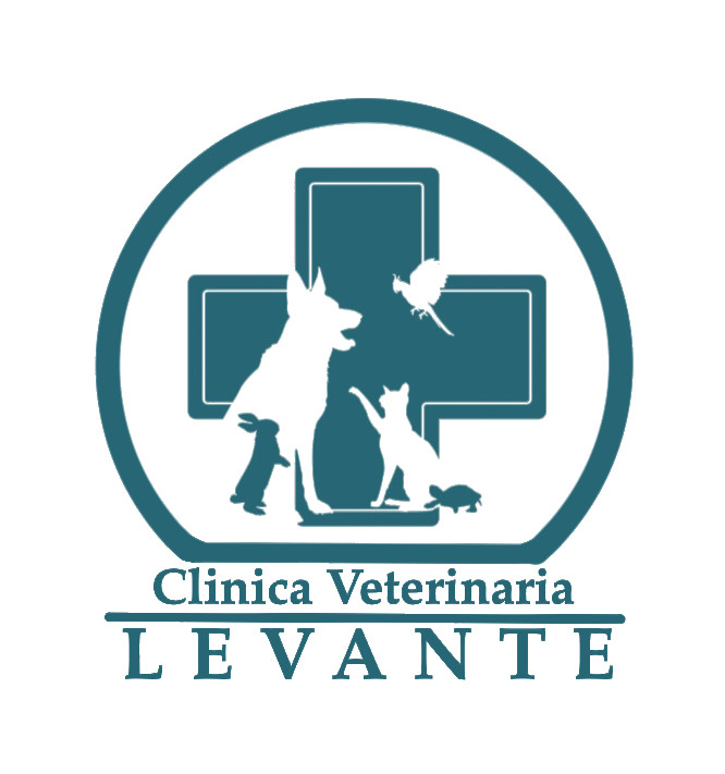 Image of Clinica Veterinaria levante service in Bologna, Bologna, Italy