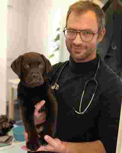Image of HausVet - Mobiler Tierarzt in Zürich service in Zurich, Zurich, Switzerland Image of HausVet - Mobiler Tierarzt in Zürich service in Zurich, Zurich, Switzerland