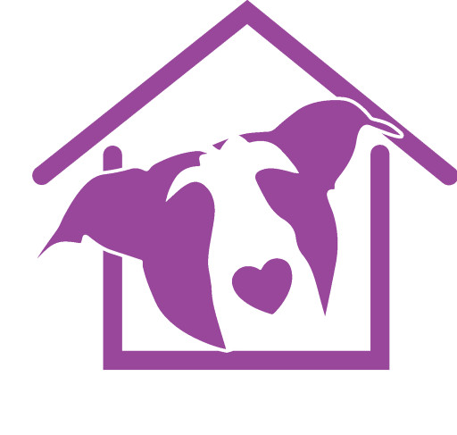 Image of Dawg House Daycare and Boarding service in Danbury, Connecticut, United States