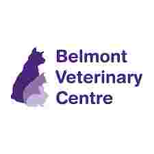 Image of Belmont Veterinary Clinic Limited service in Auckland, Auckland, New Zealand