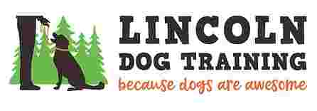 Image of Lincoln Dog Training service in Middlesex County, Massachusetts, United States