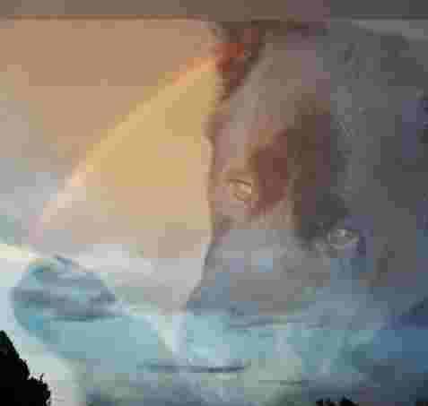Image of Loving PetCare PSL service in Port St. Lucie, Florida, United States Image of Loving PetCare PSL service in Port St. Lucie, Florida, United States