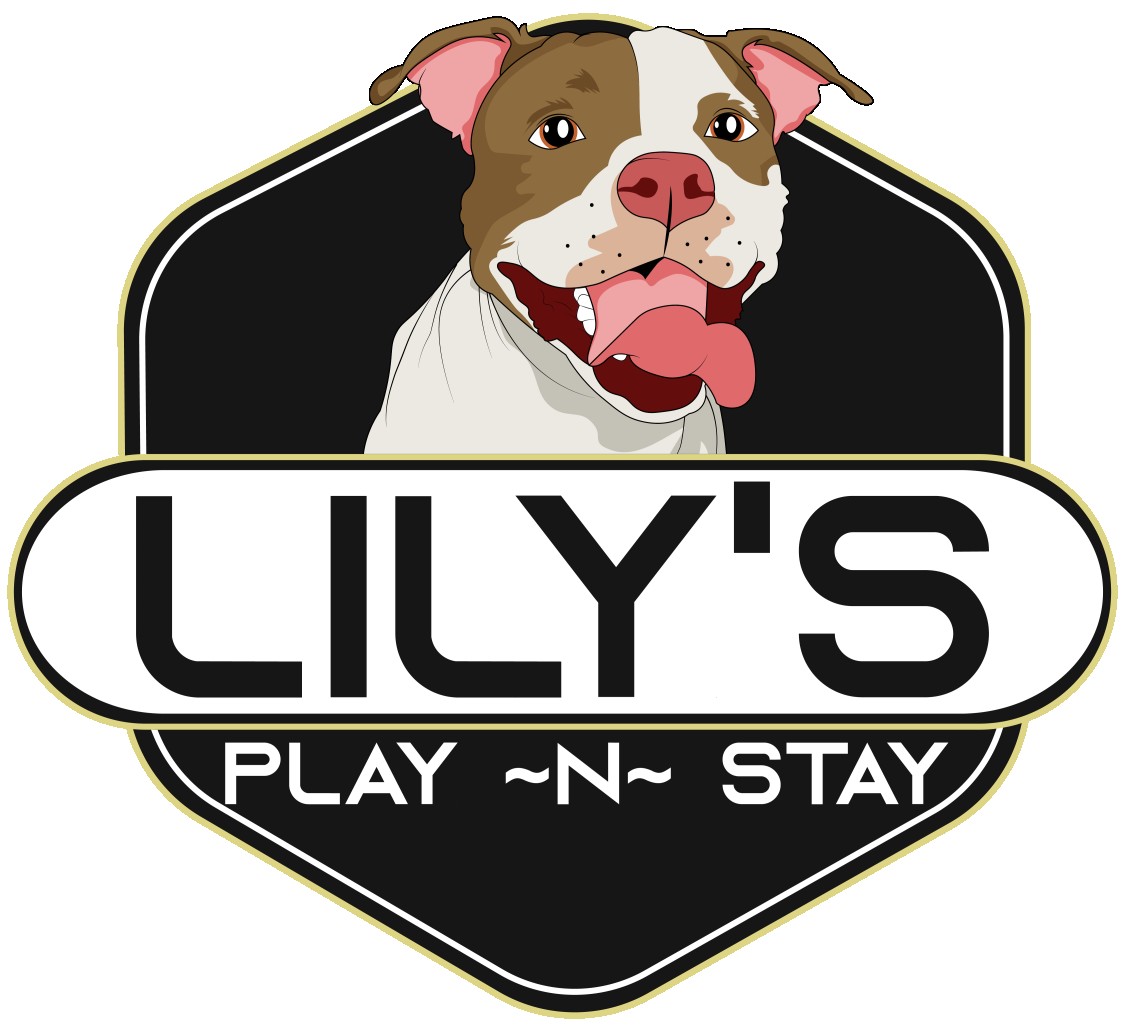 Image of Lilys Play-N-Stay service in Belton, Missouri, United States