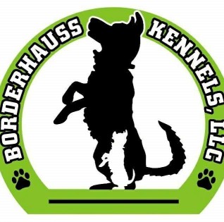 Image of Brilliant Dogs at Borderhauss Kennels, LLC service in Livingston County, Michigan, United States