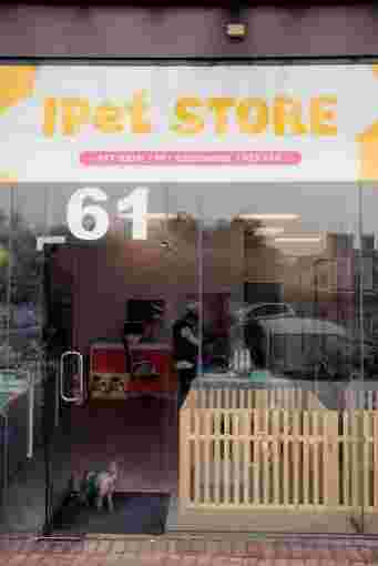 Image of Pat a Pet service in Auckland, Auckland, New Zealand