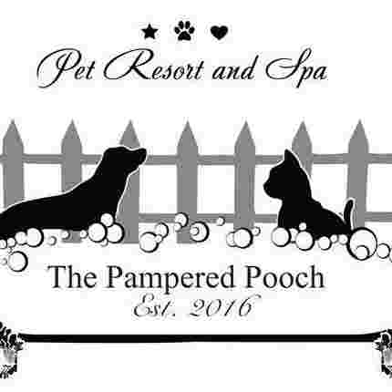 Image of The Pampered Pooch Pet Resort service in Brentwood, California, United States