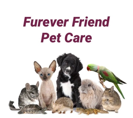 Image of Furever Friend Pet Care service in Lethbridge, Alberta, Canada Image of Furever Friend Pet Care service in Lethbridge, Alberta, Canada