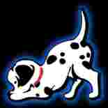 Image of Wagging Tails Kennel - Moseley service in Moseley, Virginia, United States