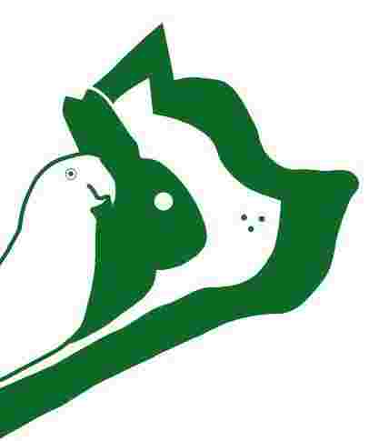 Image of Dierenkliniek De Wetering service in Amsterdam, North Holland, Netherlands Image of Dierenkliniek De Wetering service in Amsterdam, North Holland, Netherlands