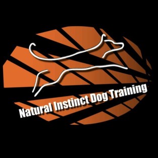 Image of Natural Instinct Dog Training service in Apopka, Florida, United States Image of Natural Instinct Dog Training service in Apopka, Florida, United States