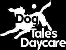 Image of Dog Tales Daycare & Boarding service in Chantilly, Virginia, United States Image of Dog Tales Daycare & Boarding service in Chantilly, Virginia, United States