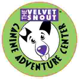 Image of The Velvet Snout service in Richardson, Texas, United States Image of The Velvet Snout service in Richardson, Texas, United States