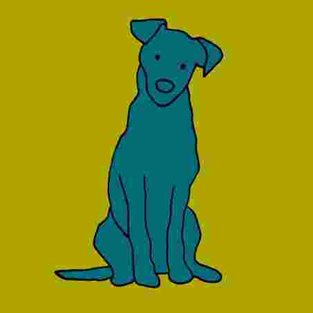 Image of Hundeversität service in Hamburg, Hamburg, Germany
