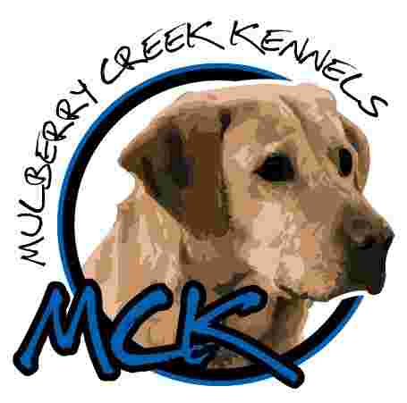 Image of Mulberry Creek Kennels service in Clines Crossroads, Georgia, United States