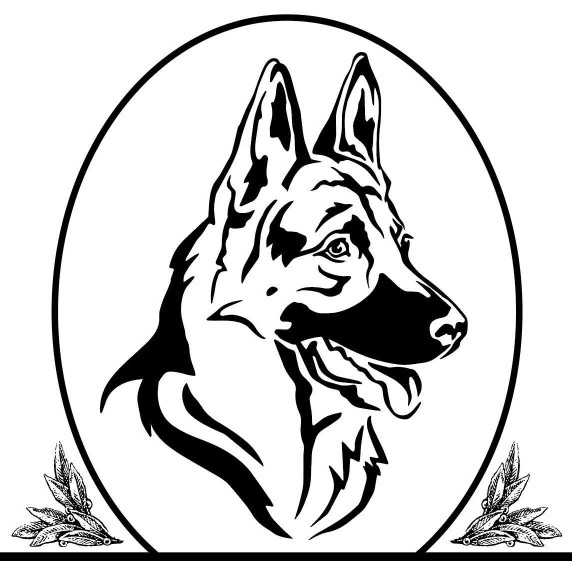 Image of Elite Dogs Training & Boarding service in West Sacramento, California, United States