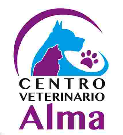 Image of Centro Veterinario Alma service in Malaga, Malaga, Spain