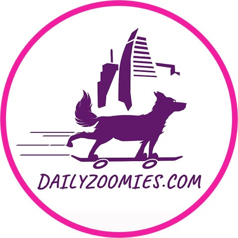 Image of Daily Zoomies service in Austin, Minnesota, United States Image of Daily Zoomies service in Austin, Minnesota, United States