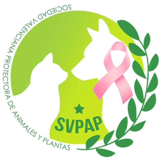 Image of Clinica Veterinaria SVPAP service in Valencia, Valencia, Spain